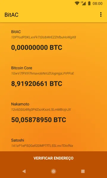 BitAC - Bitcoin Address Checker screenshot 7