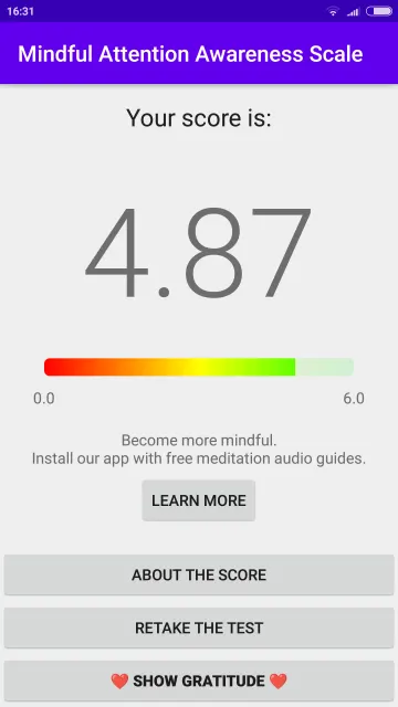 Mindful Attention Awareness Scale screenshot 4