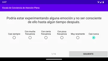 Mindful Attention Awareness Scale screenshot 7