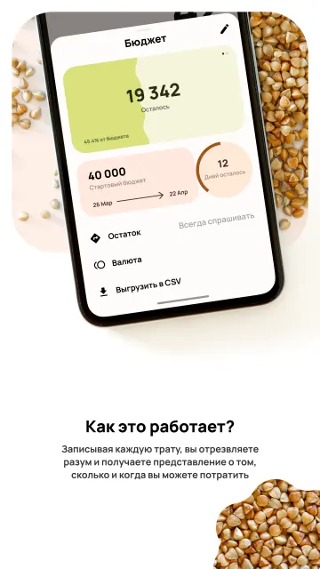 Buckwheat: Budget manager screenshot 8