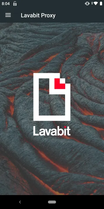 Lavabit Encrypted Proxy screenshot 1