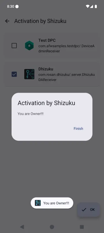 Dhizuku screenshot 4