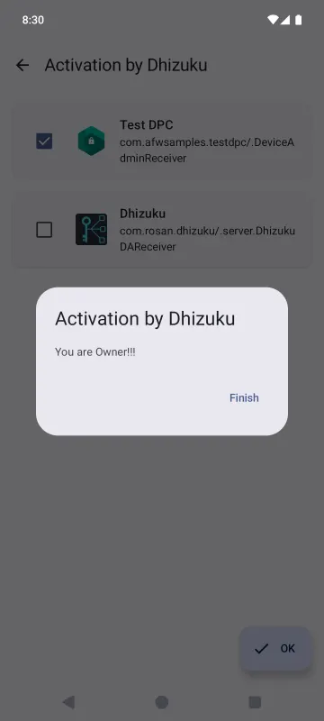 Dhizuku screenshot 6