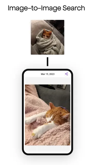 TIDY Text-to-Image Discovery screenshot 1