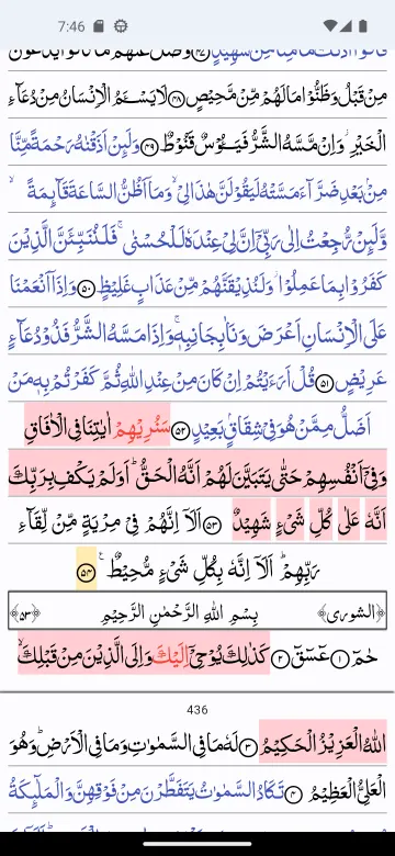 Quran Revision Companion screenshot 2