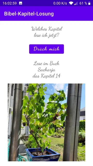 Bibel-Kapitel-Losung screenshot 3