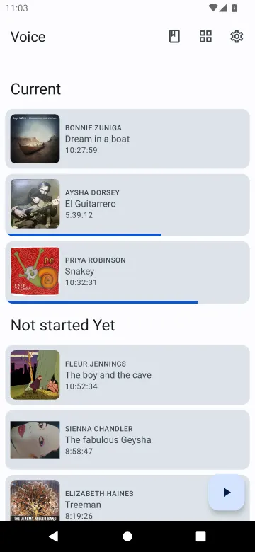 Voice Audiobook Player screenshot 3