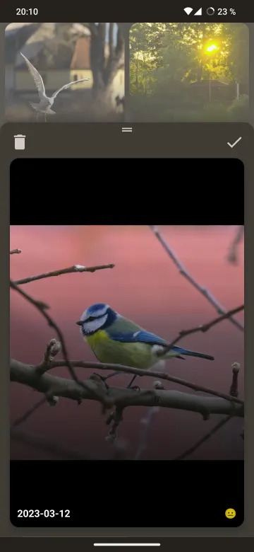 OneShot screenshot 5