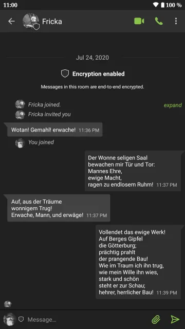 SchildiChat Legacy screenshot 8