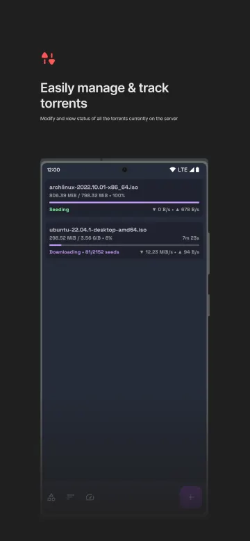 qBittorrent Manager screenshot 2