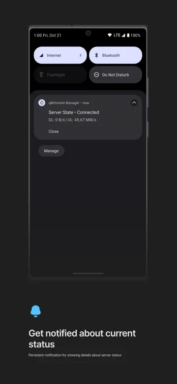qBittorrent Manager screenshot 3