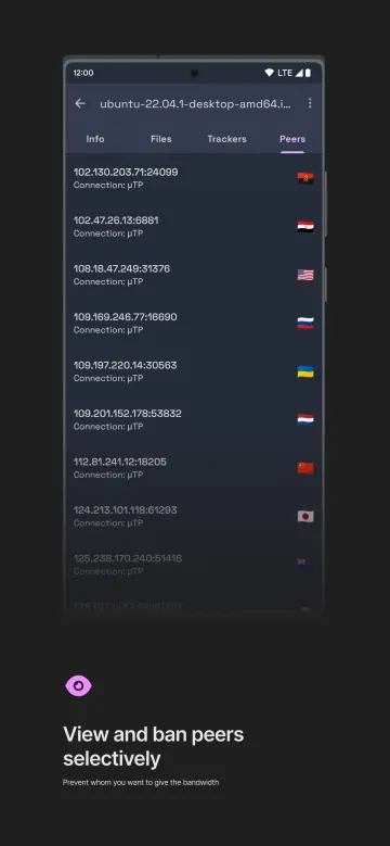 qBittorrent Manager screenshot 5