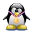 Tux Rider