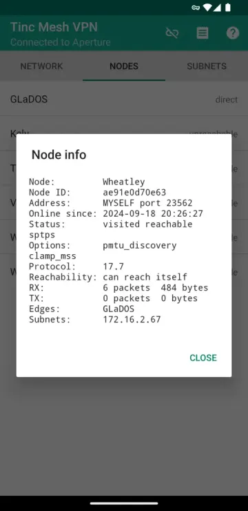 Tinc Mesh VPN screenshot 2