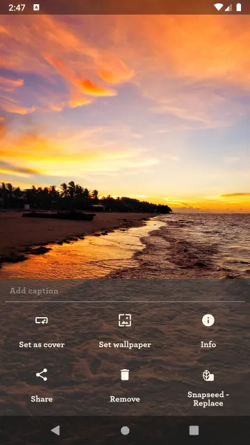 Les Pas - Photo Album for Nextcloud screenshot 4